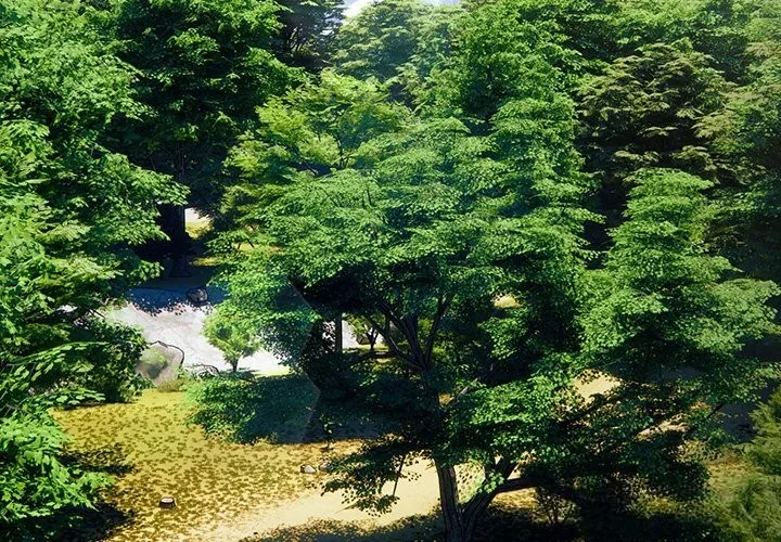 男人稀缺的異世界/當前女友變成異世界獨裁者 第1話